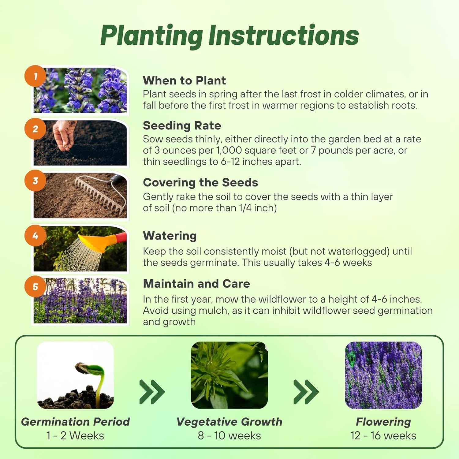 Outsidepride Blue Sage Seeds - 1/4 Lb. Perennial, Drought-Tolerant & Deer-Resistant Wildflower Seeds w/Fragrant Blooms for Pollinator Attractant for Butterfly & Hummingbird Gardens & Landscaping