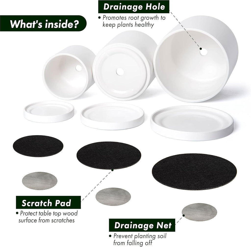 D'vine Dev White Terracotta Pots for Plants, 4.2 Inch 5.3 Inch 6.5 Inch, Succulent Planter Pot with Drainage and Saucer, 40-T-A-1