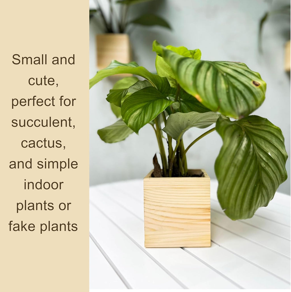 LaLaGreen Wooden Planter Box for Plants (4x4 Inch, 8 Pack) Small Square Wall Planters for Indoor Plant, Natural Wood Hanging Flower Pot Boxes Table Centerpiece Herb Balcony Home Garden Office Decor