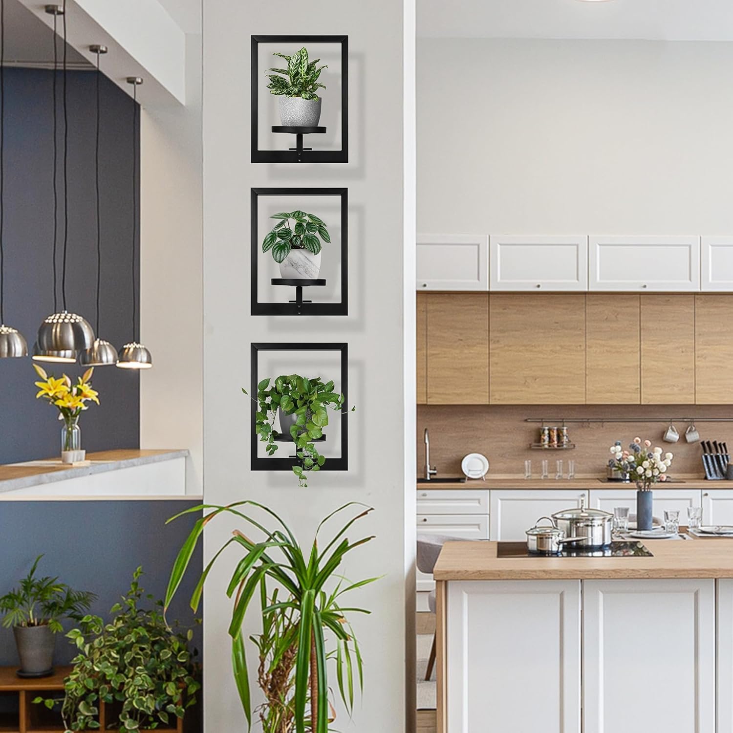 Heavy-Duty Wall Planters for Indoor Plants, Modern Metal Hanging Plant Holders, Picture Frame Wall Plant Shelves for Living Room, Balcony, Patio, Window Garden Décor, 2-Pack