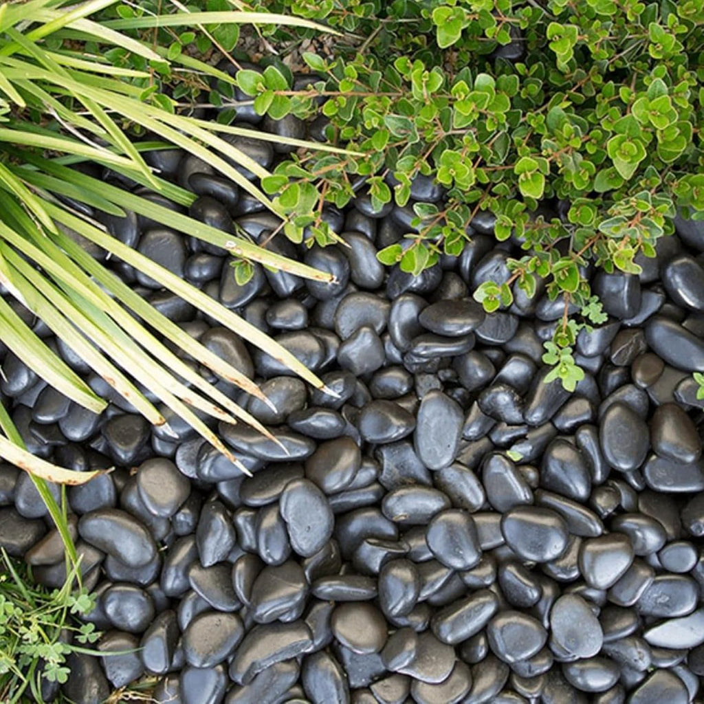 Large River Rocks 20lbs, 2-3 Inch Black Pebbles for Plants, High Polished Natural Decorative Stones for Aquarium Vase Filler Fish Tank Landscaping Garden