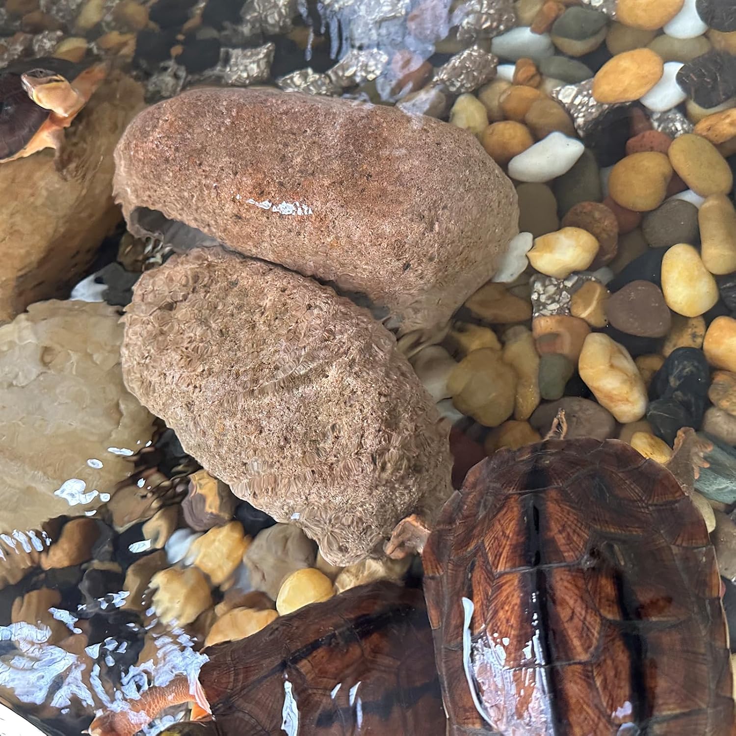 Natural River Rocks, 2-3 Inch River Rocks for Landscaping, Mixed Colors Stones for Plants, Flower Beds, Indoor Fountains, Gardens, Paths, Backyards, Fish Tank and Plantations(40lbs Bulk)