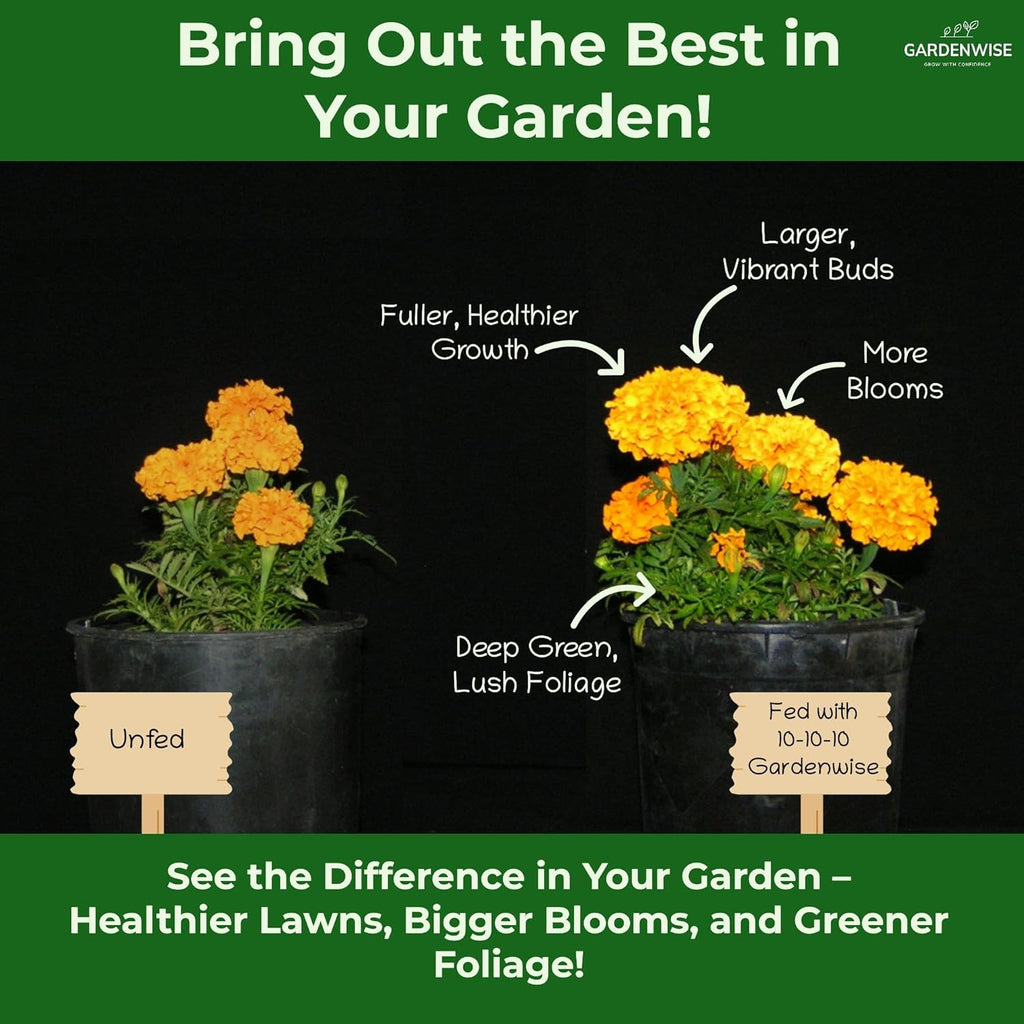 10-10-10 Plant Fertilizer Slow Release - 10 10 10 All Purpose Granular Garden Fertilizer for Vegetables, Tomato, Arborvitae, Shrubs, Rose, Flowers, Fruit, Fig Trees (1 Quart)