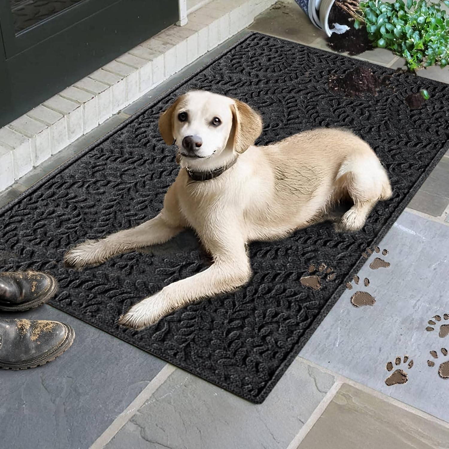 WaterHog Indoor/Outdoor Use Door Mat, 3' x 5', Made in USA, Welcome Mat for Front Door, Durable, Water-Trapping Floor Rug, Decorative, Skid-Resistant Entryway Rug, Boxwood Collection, Charcoal