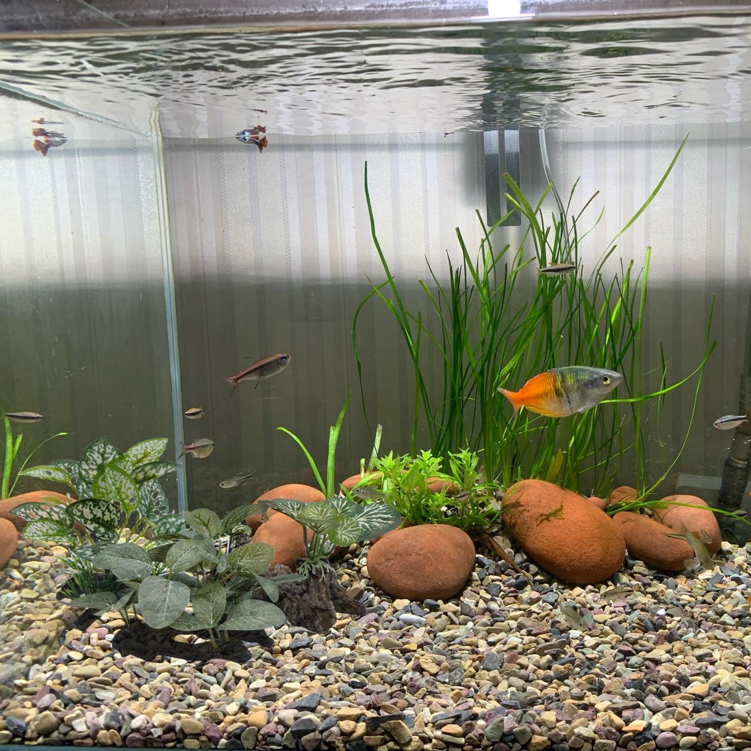 M2cbridge Artificial Fish Tank Plants Silk Aquarium Plant Aquatic Water Grass Foreground Decor (3PCS Green Grasses)