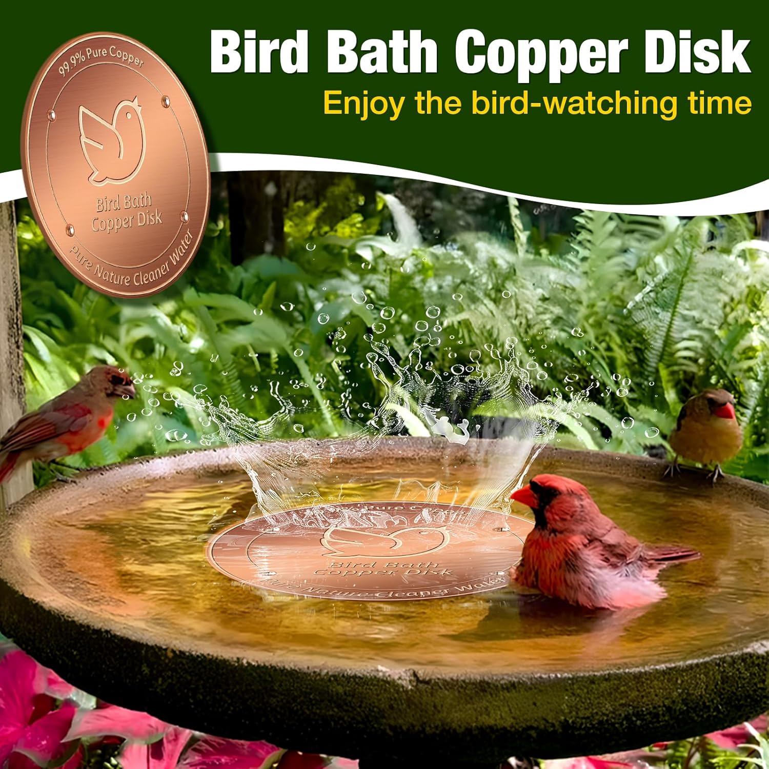 2Pack Bird Bath Copper Disk, 99.99% Pure Copper Cleaning Disc with Four-Point Support, Physical Safe Water Cleaner to Help Maintain Clearer Water for Outdoor Birdbaths & Bowls, All-Season Use
