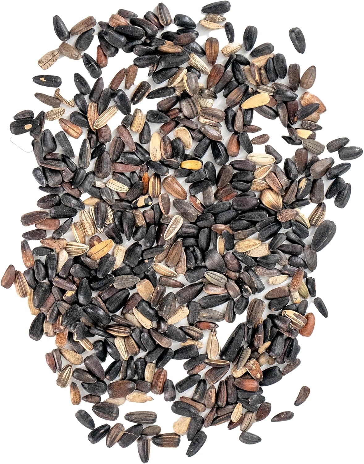 Ferry-Morse Red Shades Mix Bulk Sunflower Seeds, 1lb