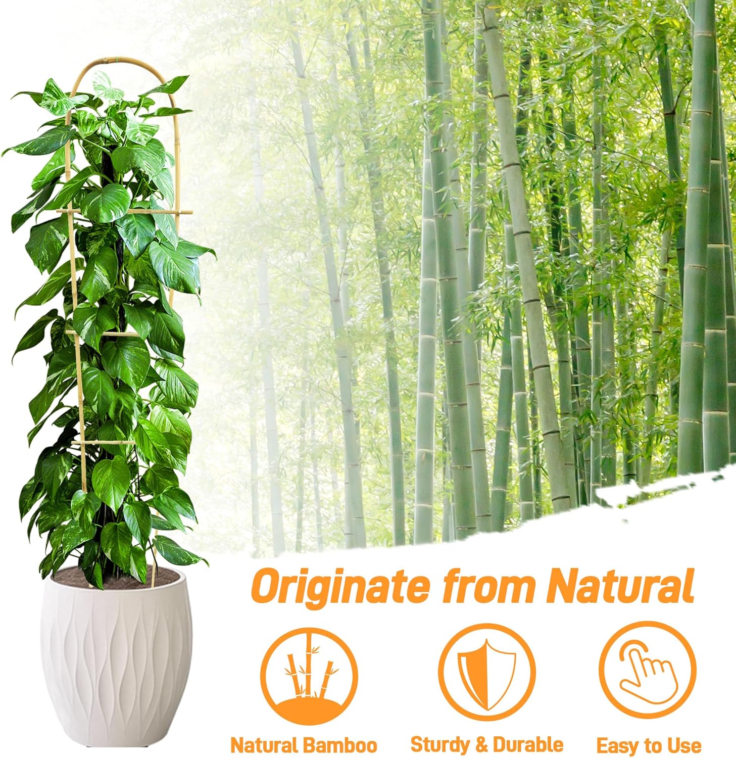 Avalution 10 Pack Bamboo U Trellis for Climbing Plants, 4 FT Garden Ladder Trellis for Potted Plants Indoor, Ladder Small Plant Support Trellis for Houseplants Ivy Hoya Vine Monstera