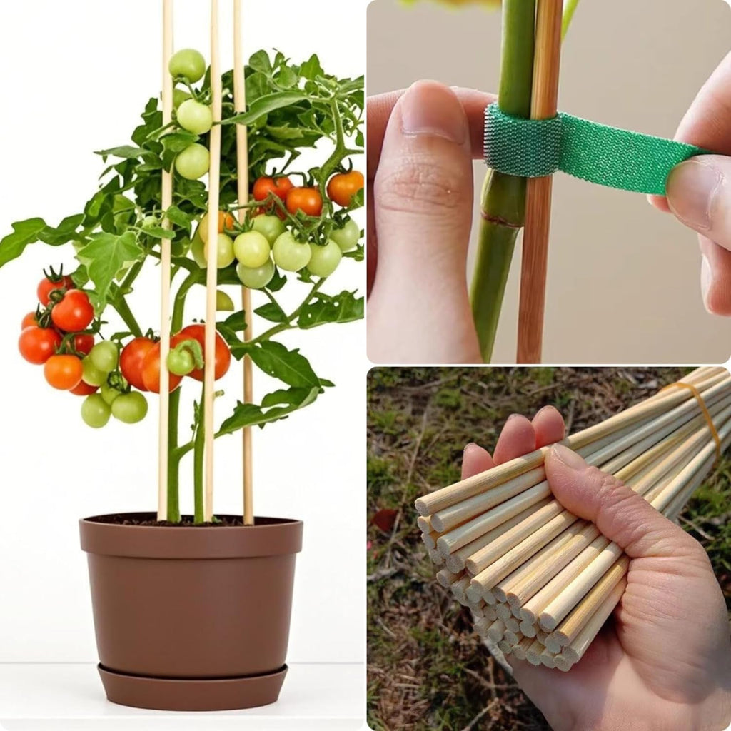 125 PCS 2.5FT Bamboo Plant Stakes 6.3mm Thick – 30-Inch Bamboo Sticks for Plants, Tomatoes, Beans, Climbing Plants – Smores Sticks & Marshmallow Sticks for Fire Pit and Campfire – VESYMAN