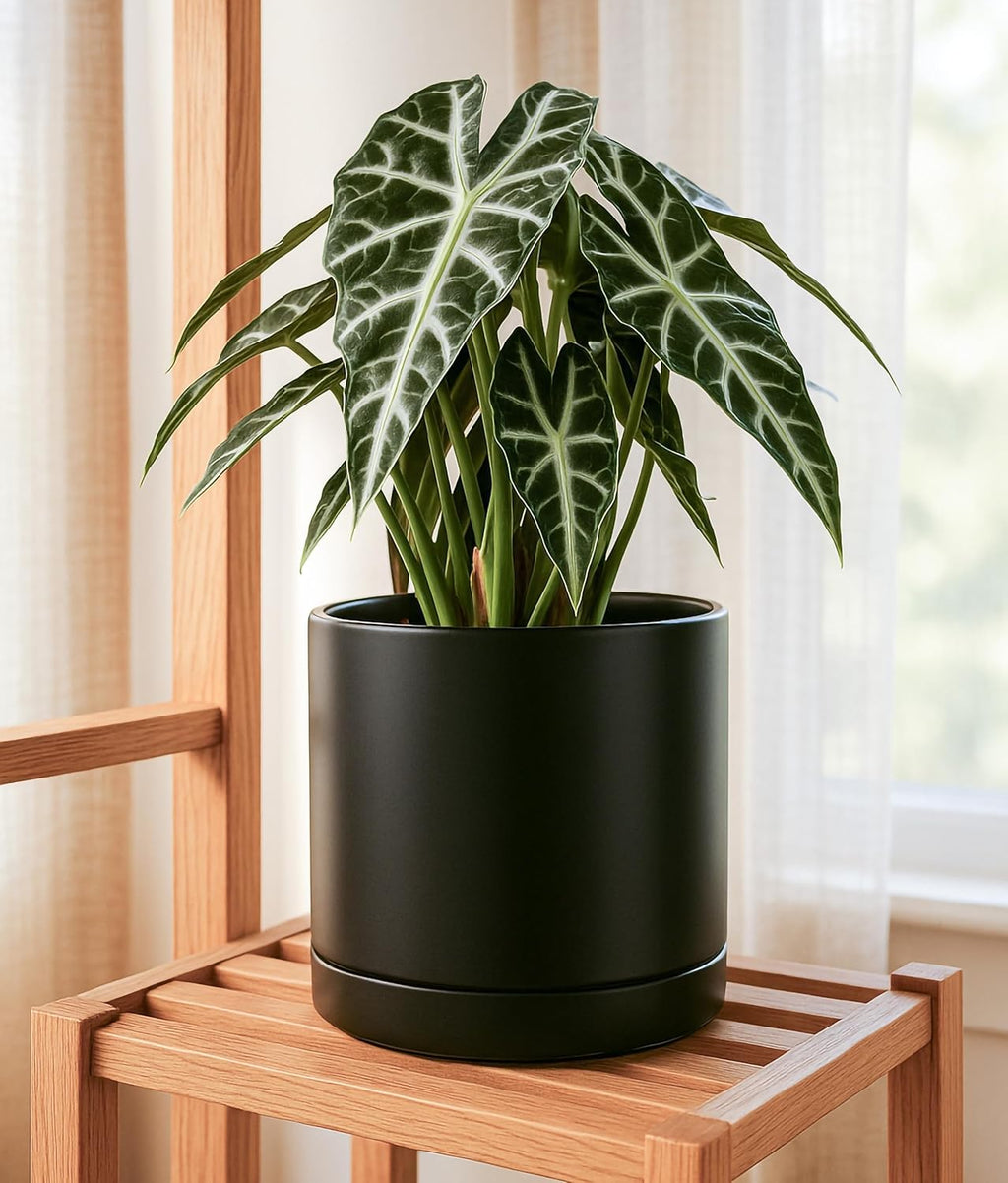 D'vine Dev 6 Inch & 8 Inch & 10 Inch, Set of 3 Round Ceramic Planter Pot with Drainage Hole and Saucer, Black, 94-T-L-2