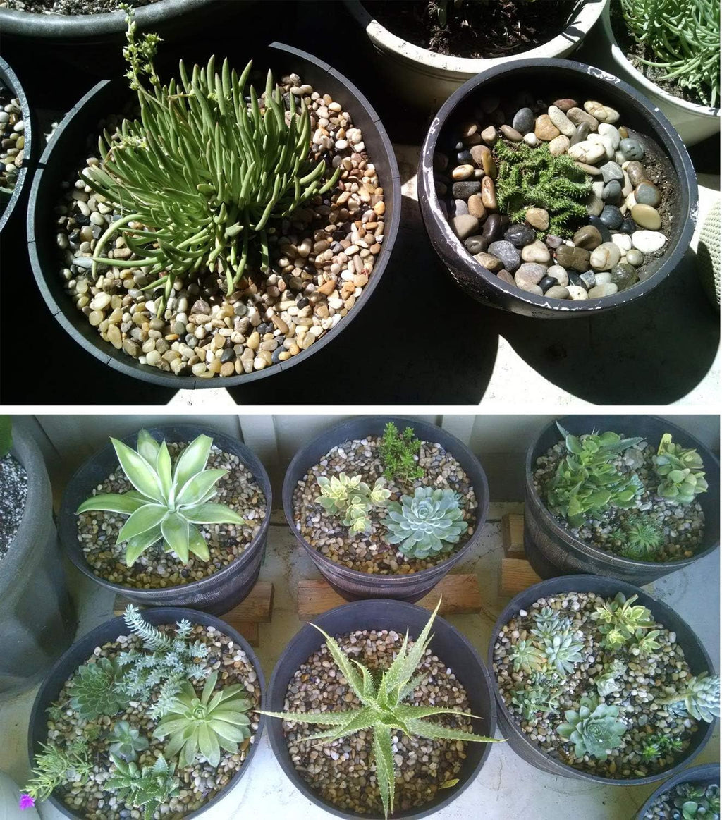 Voulosimi 40 LBS River Rock Stones, Natural Decorative Polished Mixed Pebbles Gravel,Outdoor Decorative Stones for Plant Aquariums, Landscaping, Vase Fillers