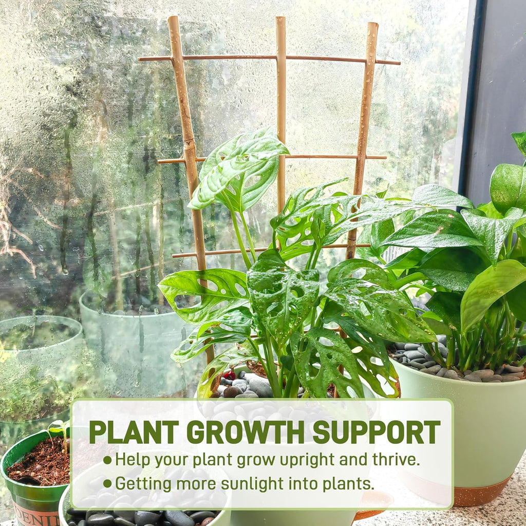 Avalution 10 Pack Bamboo Trellis for Climbing Plants 16" Natural Garden Ladder Trellis, Fan -Shaped Plant Support Trellis for Potted Plant Decor