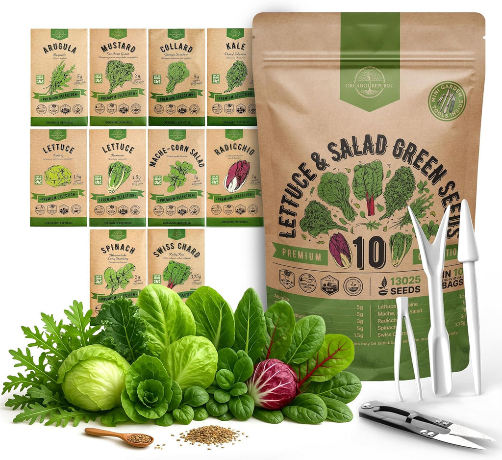 Organo Republic 10 Lettuce & Salad Greens Seeds Variety Pack 13000+ Non-GMO Heirloom Lettuce Seeds for Planting Indoors & Outdoors Garden, Hydroponics - Arugula, Radicchio, Kale, Spinach, Swiss Chard