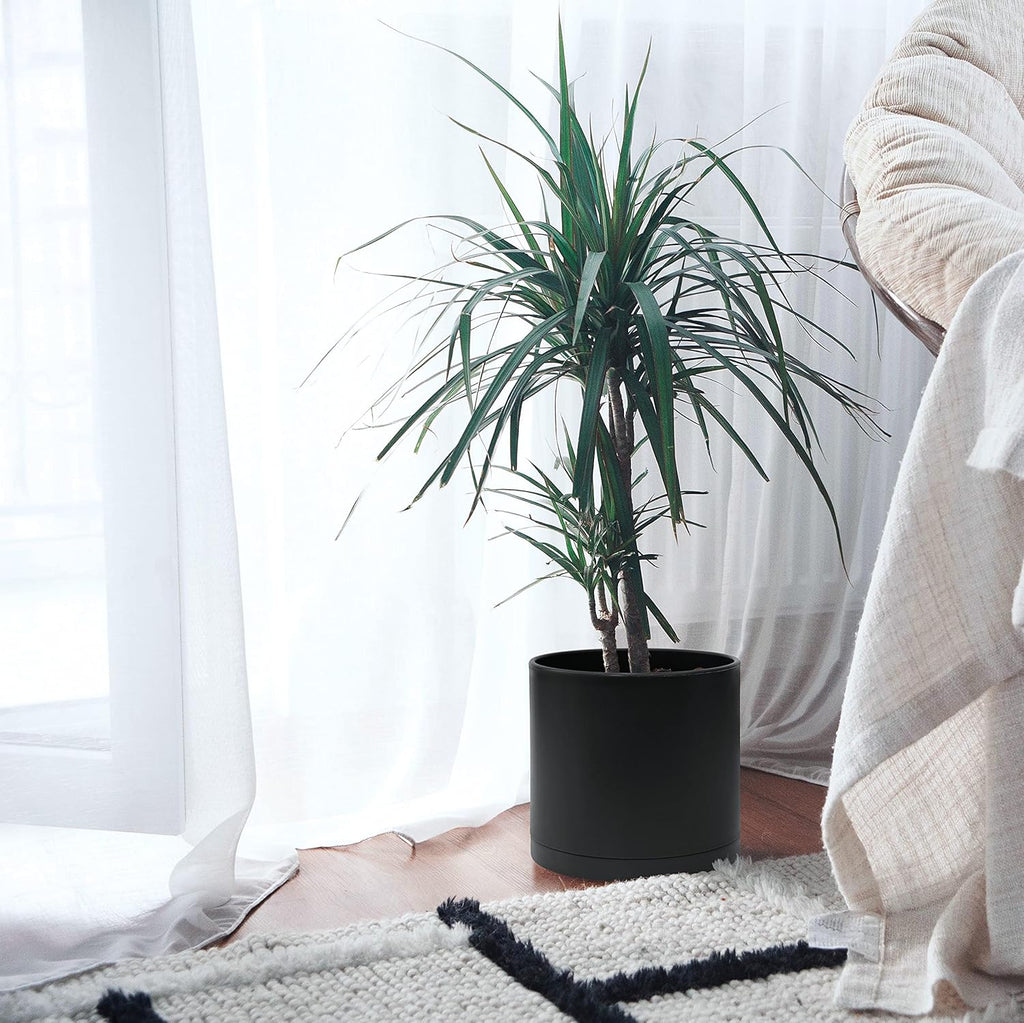 D'vine Dev 10 Inch Plastic Planter Pots for Plant Pot with Drainage Hole and Seamless Saucers, Black Color, 74-X-B-2