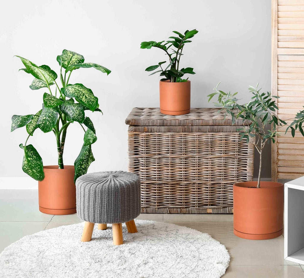 D'vine Dev Terracotta Pots for Plants, 6.5 Inch 8.3 Inch 10 Inch, Round Cylinder Planter Pot with Drainage and Saucer, 40-T-C-0