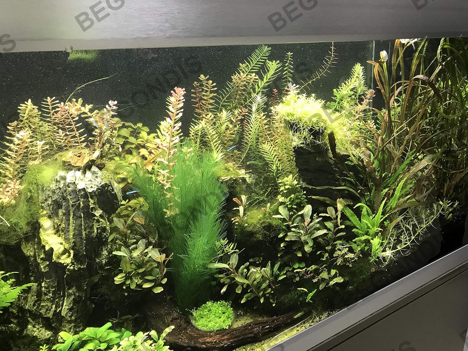 BEGONDIS Aquarium Decorations 5Pcs Fish Tank Artificial Green Water Plants Made of Silk Fabrics Plastic
