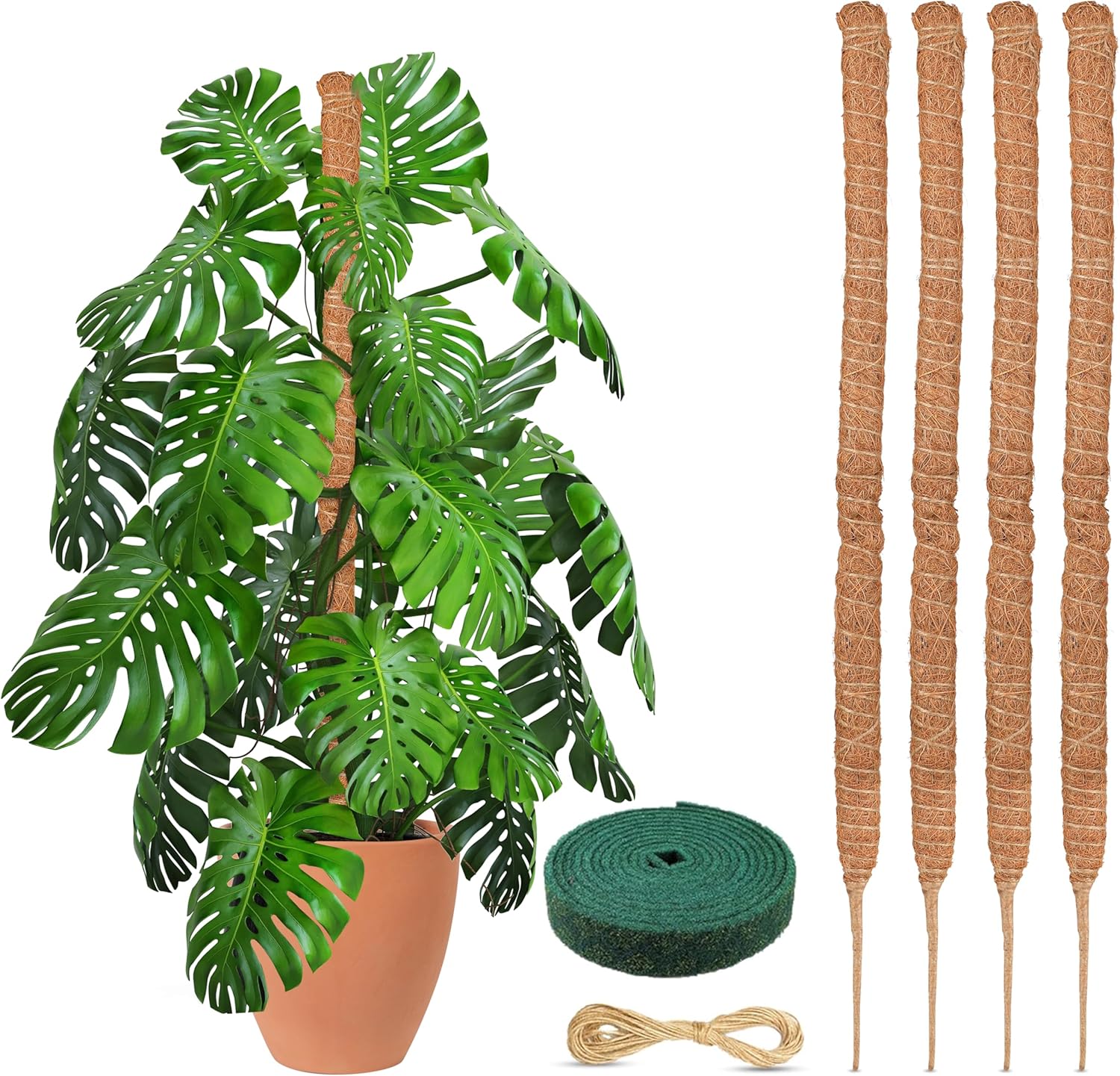 EcoNour Moss Pole for Plants – 28 inches (4 Pack) | Monstera Plant Support for Plant Climbing and Growth | Elevate Your Indoor Garden, Plant Support for Indoor Potted Plants to Grow Upwards