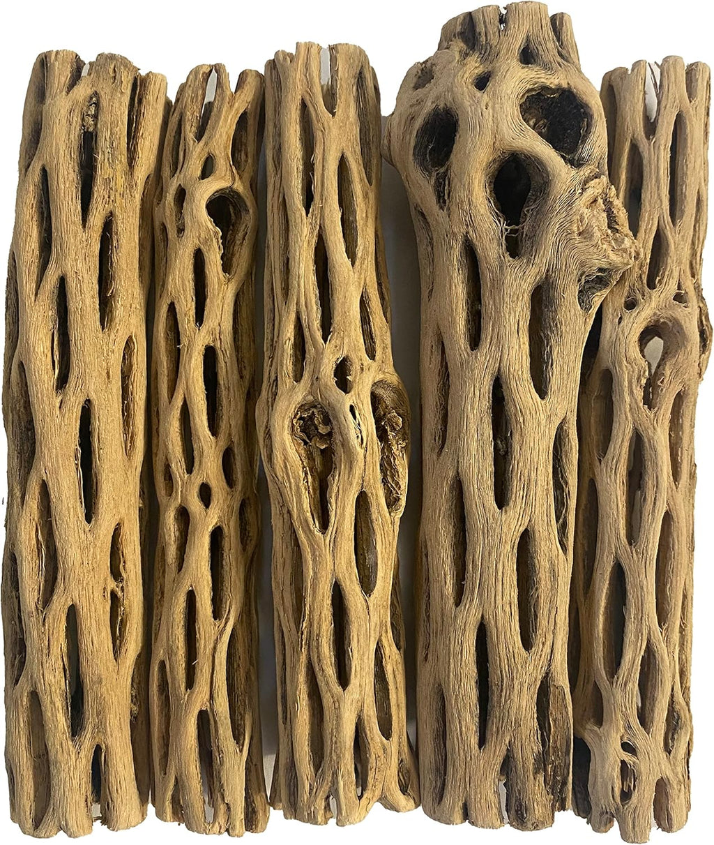 Awesome Aquatic Natural Cholla Choya Wood 5 Pieces 6” for Shrimp Habitat and Food Treat Hermit Crabs Plecos Aquarium Decoration Lowers pH Hideouts and Chew Toys Reptiles Thorn Free Dried Organic