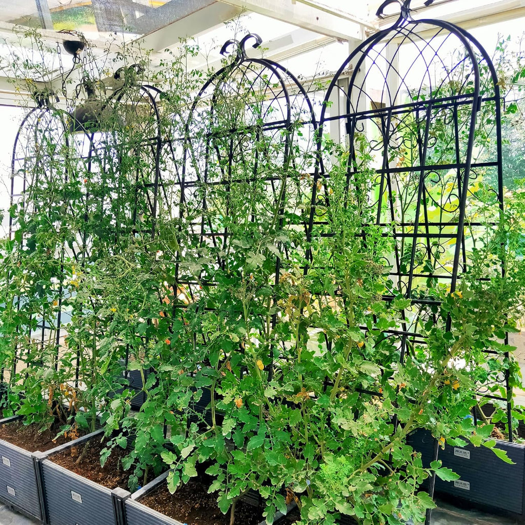 2 Pack Metal Garden Trellis for Climbing Plants 71" x 19.7" Outdoor Fence Rustproof Garden Trellis Support Roses Flower Lawn, Black 6FT