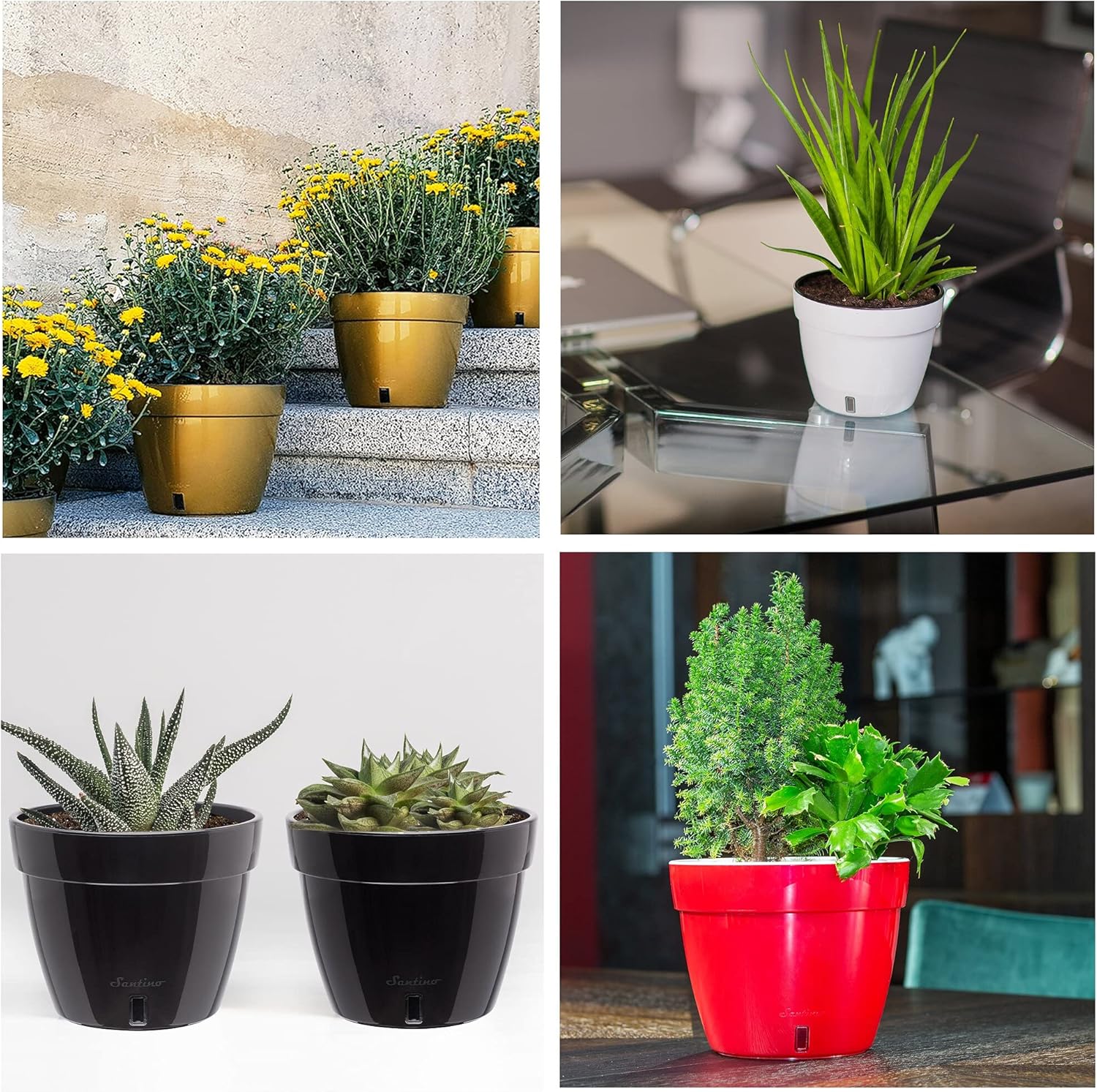 Santino ASTI 7.1 Inch Self Watering Planter Menthol/White for Indoor Plants - Premium Quality Modern Plastic Pot w/Water Level Indicator for All House Herbs, Plants, African Violets and Dahlias