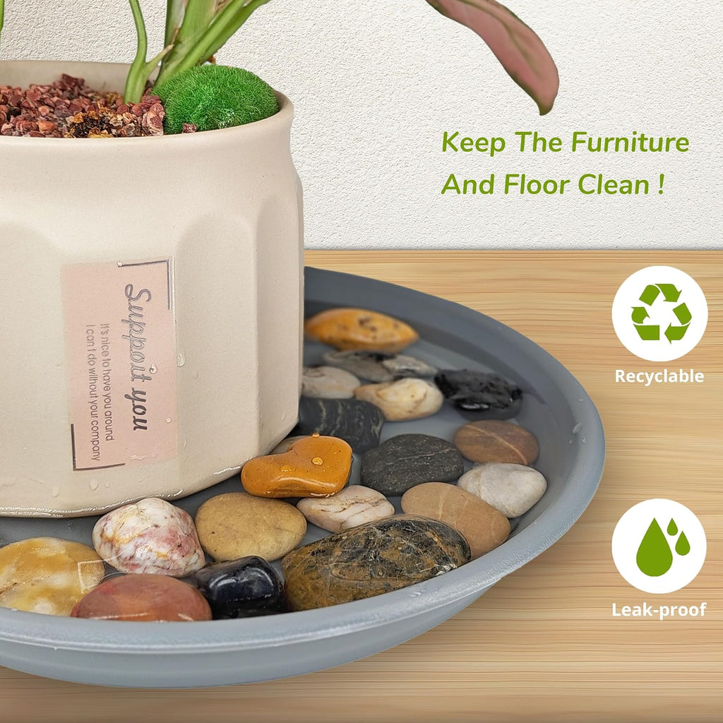 12Pcs Colourful Plant Saucer, 6 8 10 Inch Durable Plastic Plant Tray, Round Plant Pot Saucers, Drip Tray for Indoor and Outdoor Garden, Light Gray