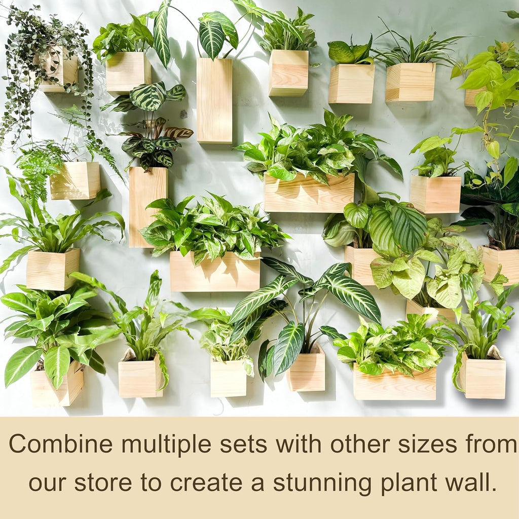 LaLaGreen Wooden Planter Box for Plants (4 Pack) Natural Wood Hanging Wall Planters for Indoor Plant Holder Vase for Dried Flowers, Modern Style Unique Living Room Bedroom Kitchen Home Office Decor