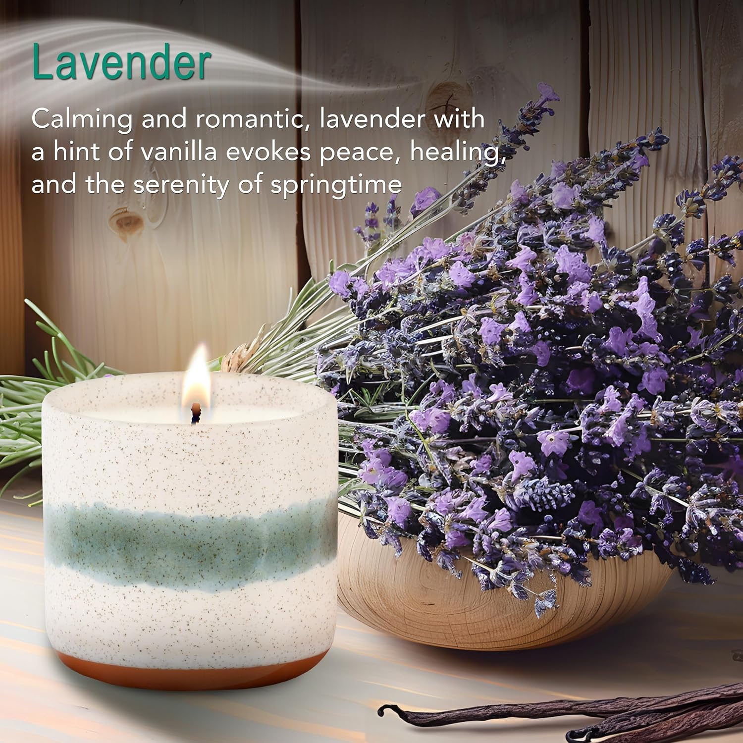 The Growing Candle, Lavender Scented, 8.5oz Ceramic Pot, Single Wick Aromatherapy Candles, 100% Soy for Women and Men, Edith