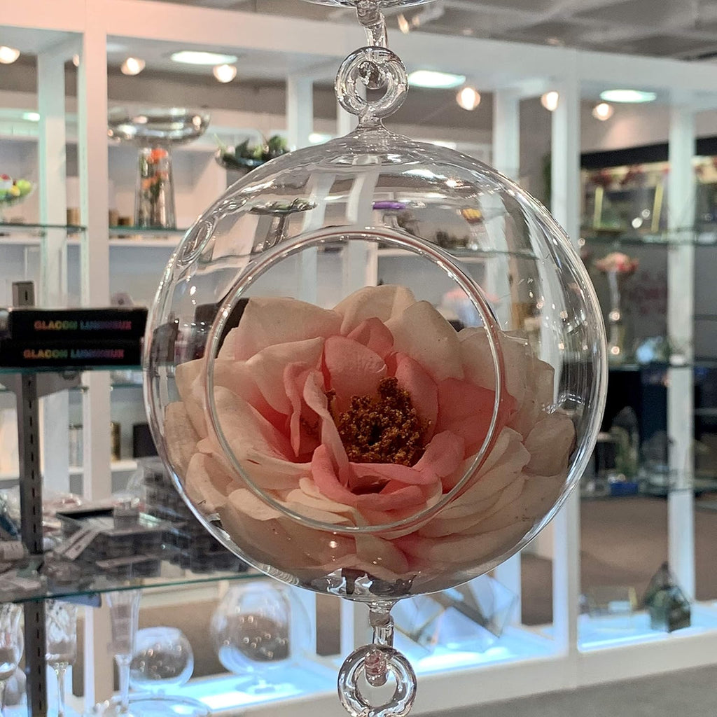 WGV Hanging Terrarium Globe, Width 4", Height 6", Double Hook, DIY Air Succulent Planter, Clear Glass Vase Orb, Candle Holder for Windowsill Outdoor Garden Decor, 1 Piece