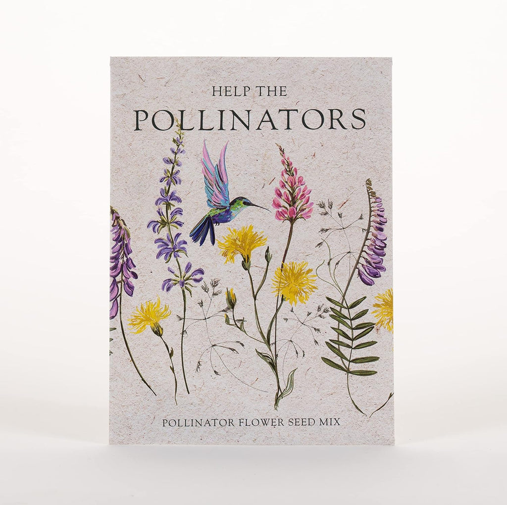Bentley Seed Co. | Help Pollinators Kraft Hummingbird | 25 Non-GMO, Non-Coated Wildflower Seed Packets for Planting | Flower Seeds | Garden Seed to Grow Live Plants | A Beautiful Gift