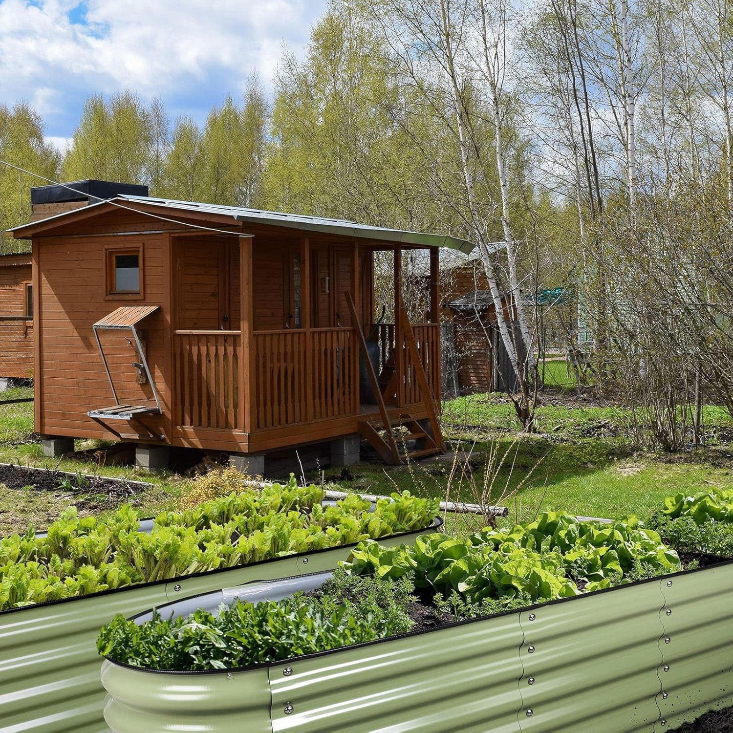 Olle Galvanized Raised Garden Bed Elevated Raised Garden Bed Metal 17" Tall 12-in-1 Grow Herbs and Vegetables Home Garden for Outdoor Backyard, Sage Green 17" Tall