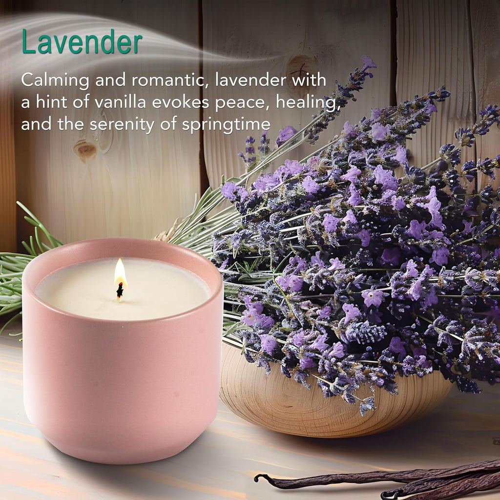 The Growing Candle, Lavender Scented, 8oz Ceramic Pot, Single Wick Aromatherapy Candles, 100% Soy for Women and Men, Adelyn