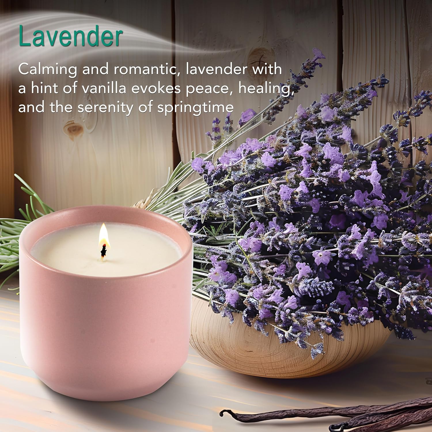 The Growing Candle, Lavender Scented, 8oz Ceramic Pot, Single Wick Aromatherapy Candles, 100% Soy for Women and Men, Adelyn