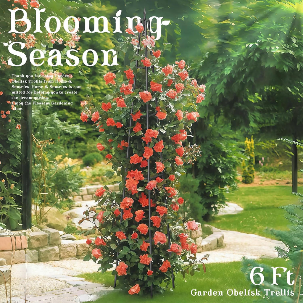 6FT Obelisk Trellis for Climbing Plants Outdoor, 16mm Rust-Proof Extra Thickened Plastic-Coated Metal Pipes, Indoor Climbing Support for Potted Plants, Vines, Flowers Stands,Black