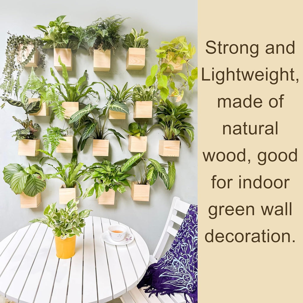 LaLaGreen Wooden Planter Box for Plants (4x4 Inch, 2 Pack) Small Square Wall Planters for Indoor Plant, Natural Wood Hanging Flower Pot Boxes Table Centerpiece Herb Balcony Home Garden Office Decor