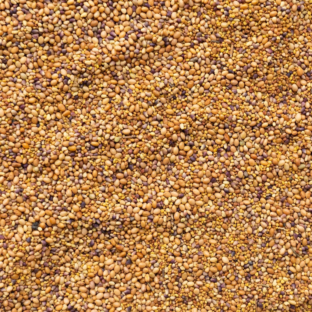 Clover Trio Seed Blend – Premium 25 LB Bulk ~4,480,000 Seeds – Red, White & Crimson Clover – Cover Crop & Soil Enrichment Mix