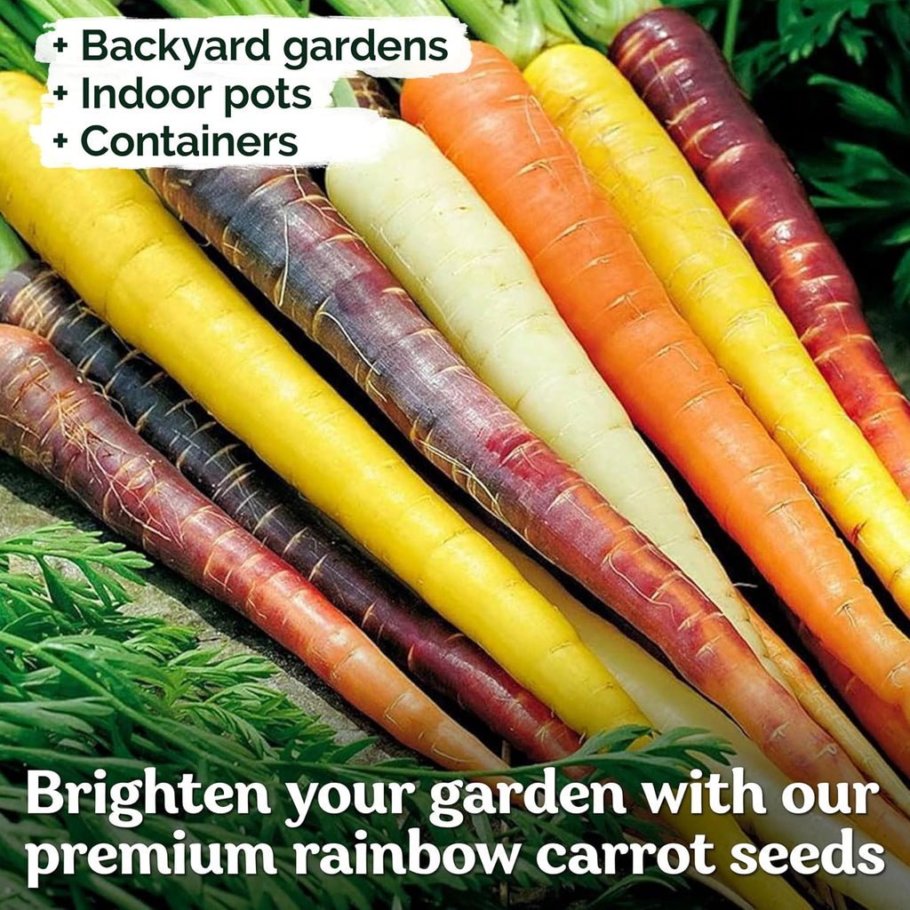 KVITER 1,000 Rainbow Carrot Seeds (Daucus Carota) - Baby Carrots Mix, Sweet & Tender Taste - Heirloom & Organic Carrots Seeds for Planting in Vegetable Garden, Raised Beds & Containers