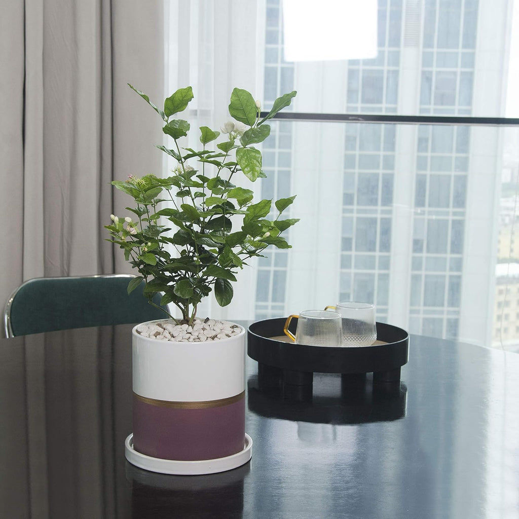 Ekirlin 4 inch Plant Pot - Ceramic Flower Planters Indoor - Modern Succulents Containers with Drain Hole Saucer, Decorate Home, Office & Outdoor (Purple)