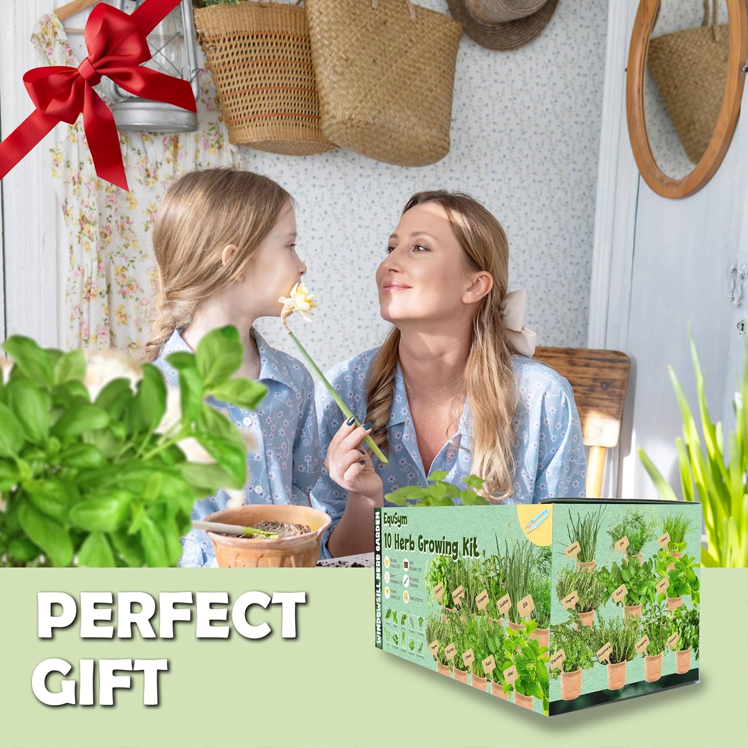 10 Herb Window Garden Kit Indoor - Herb Seeds for Indoor & Outdoor Gardening, Seeds for Planting, Gardening Gift for Kid Mother's Day Women, Complete Herb Growing Kit with Pots, Soil, Basil, Mint