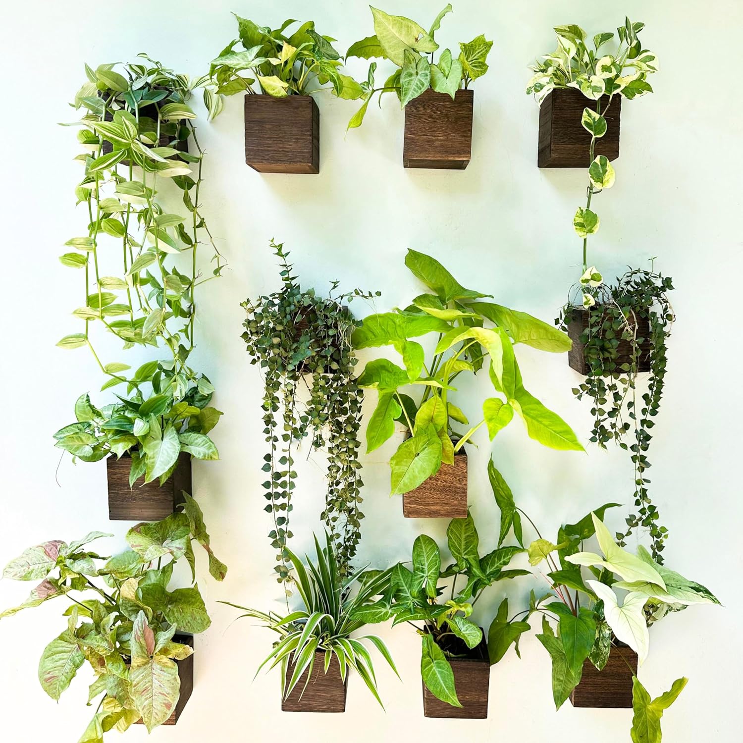 LaLaGreen Indoor Planter Box for Plants (4x4 Inch, 12 Pack) Small Square Wooden Wall Mounted Planters Wood Window Boxes Hanging Flower Pot Plant Holder Outdoor Herb Modern Vertical Garden Home Decor