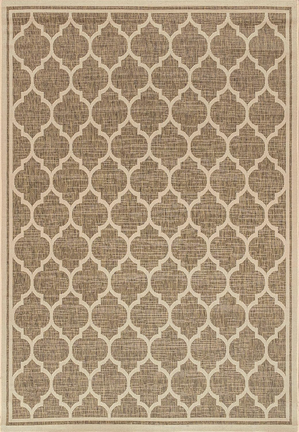 Eyely BMS109A-8 Santa Monica Trebol Moroccan Trellis Textured Weave Indoor/Outdoor Area Rug Coastal;Bohemian, Bedroom, Backyard, Patio, Easy-Cleaning, Non-Shedding, 8 X 10, Brown/Beige